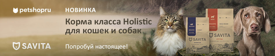 Новый корм класса Holistic уже в продаже! Новый корм класса Holistic уже в продаже!