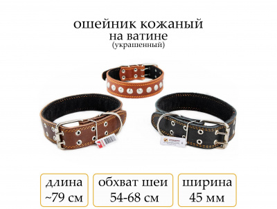 Ошейник №45 кожа на ват. с украш.(мод.452)