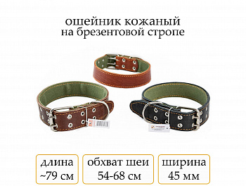 Ошейник №45 кожа на брез. чист.(мод.451)
