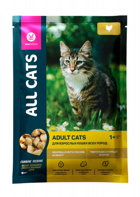 ALL CATS д/кош.85гр с курицей соус тефтельки