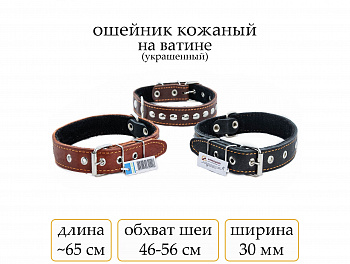 Ошейник №30 кожа на ватине(мод.303) мод303
