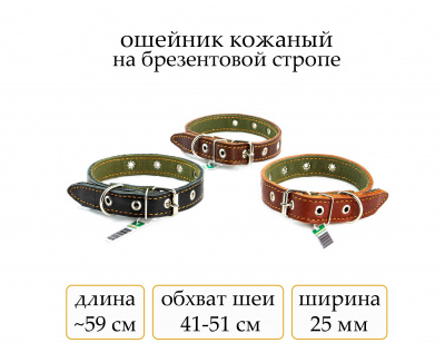 Ошейник №25 кожа на брез. безразм.(мод.252) мод252