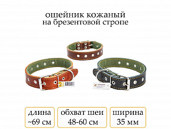 Ошейник №35 кожа на брез. безразм.(мод.352) мод352