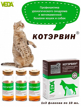 Кот Эрвин 3 фл. по 10 мл