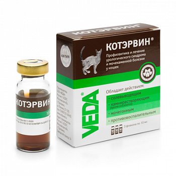 Кот Эрвин